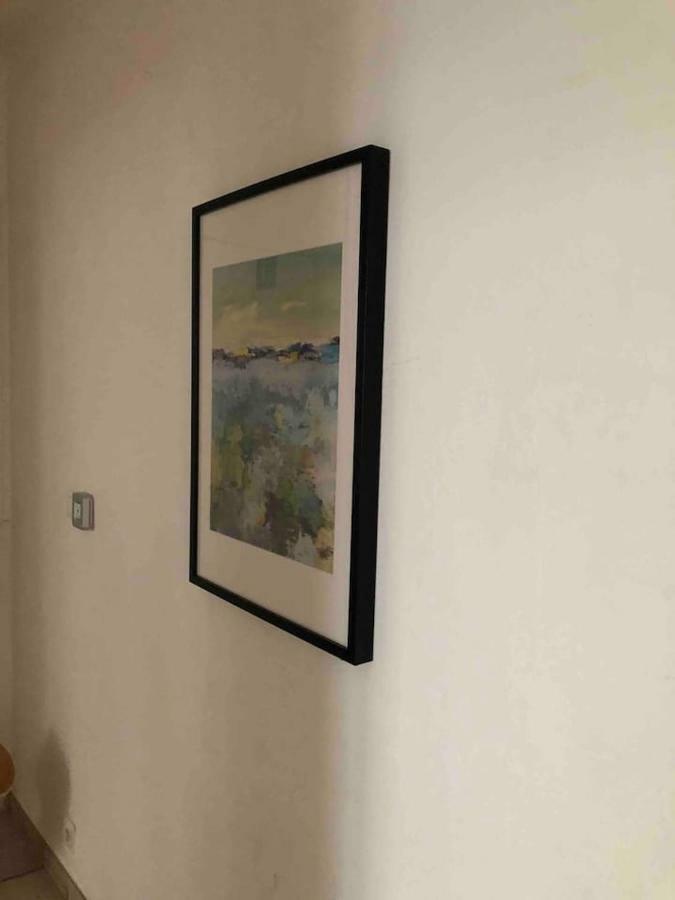 Lovely Large Familial Apartment In Central Nice, Ten Minutes Walk To The Beach! Buitenkant foto